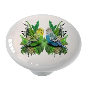 May include: Two parakeets, one green and yellow, the other blue, are perched on tropical leaves. The birds are facing each other and appear to be interacting. The background is white.
