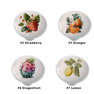 May include: Eight ceramic knobs with different fruit designs. The knobs are white with a glossy finish. The fruit designs are: raspberry, strawberry, oranges, grapes, grapefruit, dragonfruit, lemon, and starfruit.