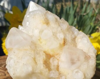 White Clear Snow Quartz Crystal Cluster Multi Terminations Mineral Gemstone Display Specimen Altar Yoga Meditation
