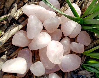 Rose Quartz Crystal Tumbled Gemstone Chakra Polished Metaphysical Home Decor Feng Shui Stone of Love Grid FREE Storage Gift Bag Altar