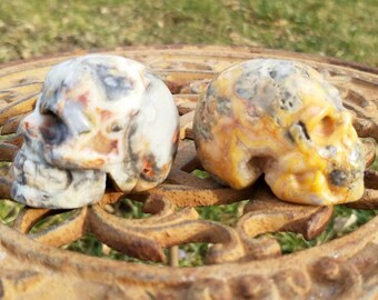 Crystal Skull Crazy Lace Agate Hand Carved Statue Fantasy Home Decor Metaphysical Crystal Reiki Healing Altar Crystals