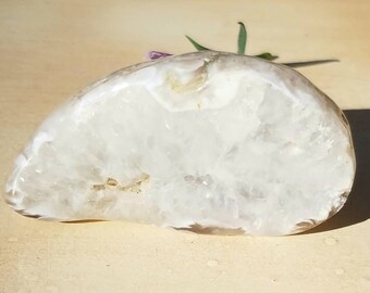 Natural Agate Palm Stone Display Hand Polished Crystal Gemstone Rock Specimen Mineral with Stand Natural Chakra Reiki Altar Geode Rebirth