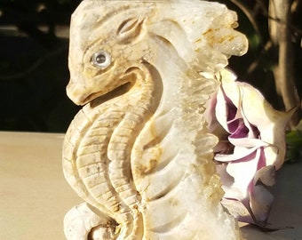 Detailed Sea Horse Crystal Carving Hand Carved Statue Sea Life Ocean Quartz Geode Talisman Totem Cluster Metaphysical Meaning Gift Reiki