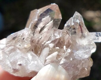 Purple Phantom Crystal Cluster Natural Quartz Included Specimen Garden Mineral Self Healed Reiki Healing Metaphysical Mineral Specimen