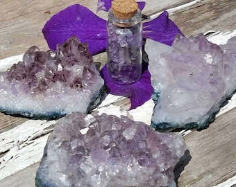Amethyst Cluster & Chip Bottle Kit Quartz Raw Gemstone Natural Brazil Metaphysical Decor Feng Shui Third Eye Crown Chakra Stone Wicca Altar