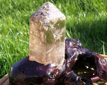 Epic Clear Smoky Shamanic Dream Stone Garden Quartz Crystal Lodolite Tower Custom Branch Stand Terminated Wand Healing Reiki Chakra Stunning
