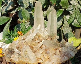 Clear Quartz Crystal Cluster XL Large Green Red Included Garden Lodolite Self Healed Etched Pagan Witch Wicca Altar Tool Chakra Metaphysical