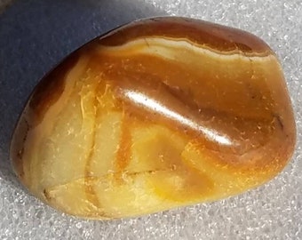 Agate Palm Stone Hand Polished Crystal Gemstone Rock Specimen Mineral Natural Chakra Reiki Altar Occult Rebirth Passion