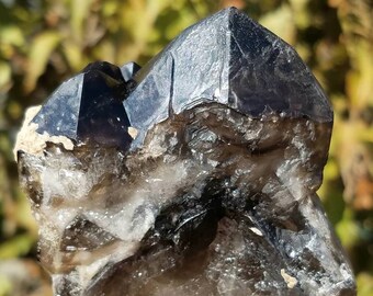 Large Smoky Quartz Mica Point Crystal Rainbow Included Self Healed Black Natural Raw Gemstone Mineral Specimen Display Standing Reiki Chakra