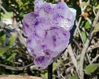 Gemmy Amethyst Crystal Cluster Geode Large Points Specimen Metal Stand Metaphysical Home Decor Feng Shui Third Eye Chakra Protection Stone