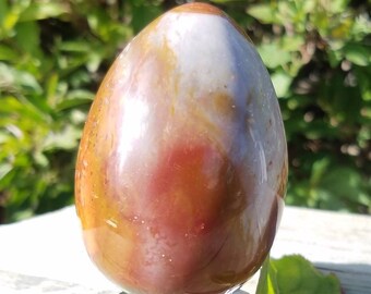 Epic Large Ancient Petrified Wood Carved Polished Egg Crystal Petwood Fertility Symbol Office Home Altar Decor Reiki Healing Crystal Chakra