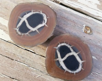 Septarian Sliced Set Dragon Stone Dragonstone Crystal Calcite Polished Witch Wiccan Pagan Decor Altar Tool Reiki Meditation Metaphysical