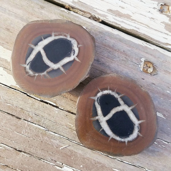 Septarian Sliced Set Dragon Stone Dragonstone Crystal Calcite Polished Witch Wiccan Pagan Decor Altar Tool Reiki Meditation Metaphysical