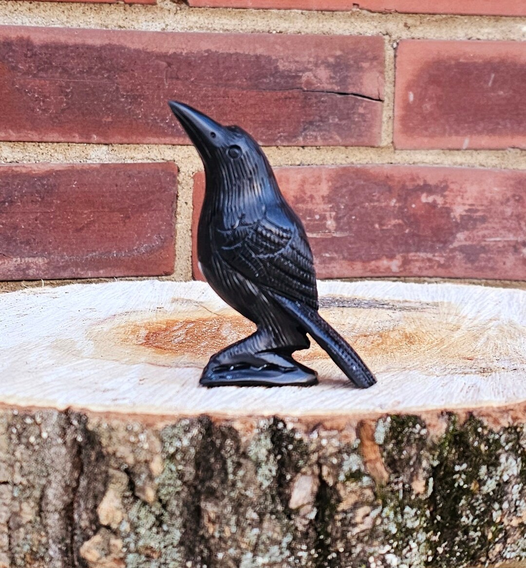 Mystical Crow Raven Crystal Black Obsidian Hand Carved Crystal Gemstone
