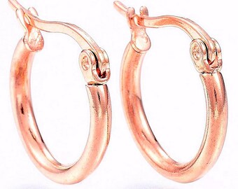 Stainless Steel Rose Gold Hoop Earrings Moon Goddess Metal of Protection Reiki Healing Hypoallergenic Yoga Meditation