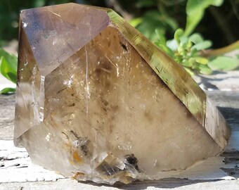 Smoky Garden Quartz Shamanic Dream Stone Rainbow Portal Crystal Black Tourmaline Lodolite Terminated Wand Healing Reiki Chakra Stunning