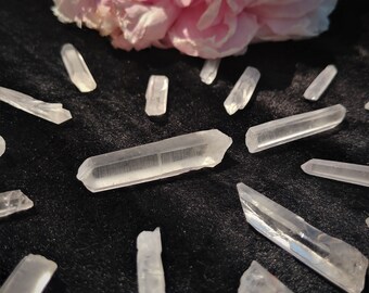 Etched Lemurian Seed Quartz Point Crystal Healing Grid Chakra Ancient Lemuria Wisdom Meditation Metaphysical Pagan Reiki Voodoo Chaos Magic