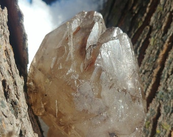 Smoky Elestial Quartz Crystal Aligator Quartz Quality Clear Skeletal DT Rainbow Specimen Mineral Self Healed Reiki Healing Root Crown Chakra