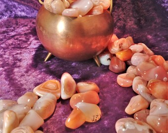 Crystal Carnelian Agate Gemstone Polished Chakra Stone Reiki Charged Metaphysical Wicca Pagan Witch Yoga Meditation New Age Love Light