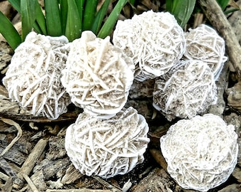 3 Desert Rose Selenite Crystal Love Stone Inner Truth Spirit Rose Business Success Rock Mineral Gemstone Meditation Metaphysical Yoga Chakra