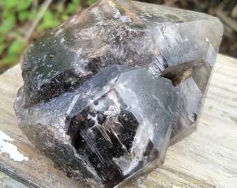 Large Smoky Quartz Point Crystal Rainbow Included Self Healed Black Natural Raw Gemstone Mineral Specimen Display Standing Reiki Chakra