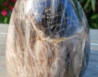 Rare Large Black Moonstone Natural Freeform Reiki Crystal Healing Feng Shui Dark Side Of The Moon Creativity Protection Divine Feminine