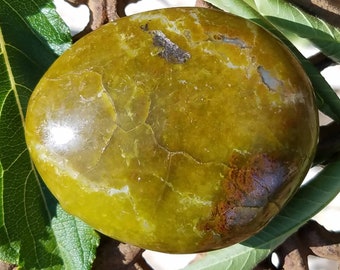 Green Opal Palm Stone Gemstone Crystal Soothing Calming Energy During Altar Medicine Bag Times of Change Charka Reiki Charged Spiritual Gift