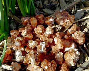 Aragonite Star Crystal Raw Gemstone Natural Healing Gridding Tchazar Tufa Reiki Wicca Hoodoo Shaman Druid Magic Mineral Chakra Metaphysical