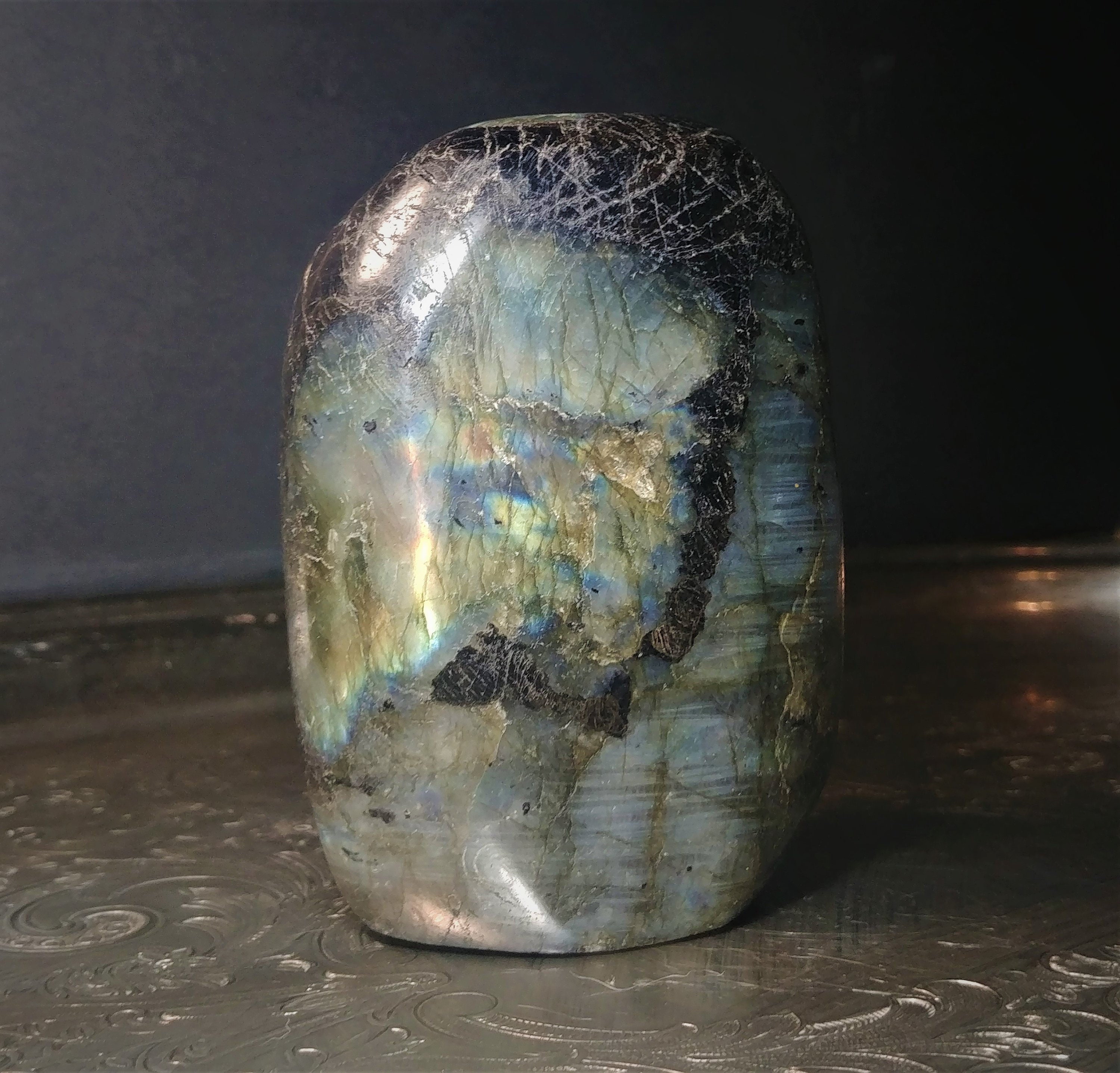 gallery photo