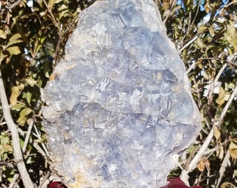XLarge Natural Blue Cubic Fluorite Natural Rare Druzy Cluster Reiki Charged Crystal Healing Metaphysical Mineral Rock Home Office Decor