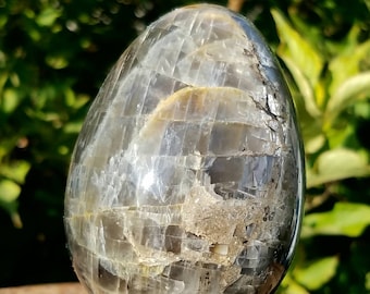 Black Moonstone Egg Rare LARGE Natural Fertility Symbol Reiki Crystal Healing Chatoyant Moon Energy  Creativity Protection Divine Feminine