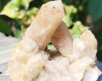 Dainty Fairy Crystal Quartz Cluster Spirit Quartz Fairy Fingers White Reiki Infused Charging Healing Meditation Chakra Metaphysical Meaning