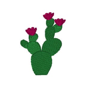 Puede incluir: Un cactus verde con tres flores rosas. El cactus tiene varios segmentos y es una planta común del desierto.