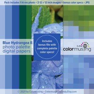 Puede incluir: Paquete de papel digital Blue Hydrangea II que incluye una foto de alta resolución y dos imágenes de 30,5 x 30,5 cm. El paquete también incluye un archivo adicional con una paleta de colores completa y especificaciones de colores. Todo se trata de la tonalidad, colormusing.