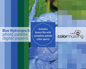 Blue Hydrangea Photo Palette Pack: Digital Paper Set (Digital Download)