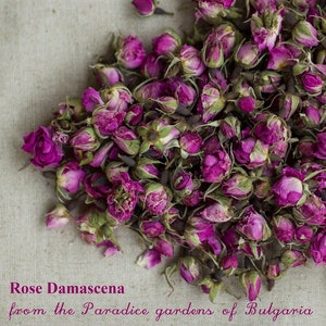 Organic Dried Rose Buds rosa Damascena From the Bulgarian Rose Valley 