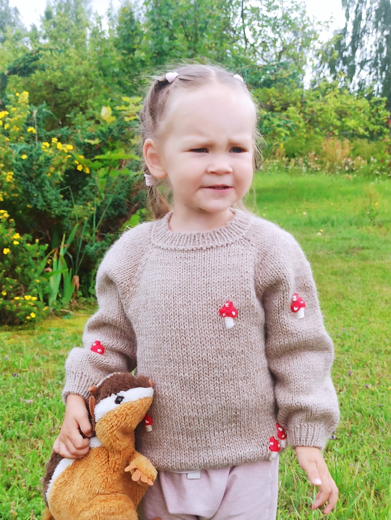 Children sweater, unisex sweater, alpaca sweater dark beige, with embroidery, handmade knitted sweater, boy, girl.1-1,5 years image 1