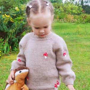 Children sweater, unisex sweater, alpaca sweater dark beige, with embroidery, handmade knitted sweater, boy, girl.1-1,5 years image 4