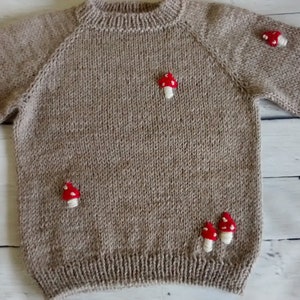 Children sweater, unisex sweater, alpaca sweater dark beige, with embroidery, handmade knitted sweater, boy, girl.1-1,5 years image 8