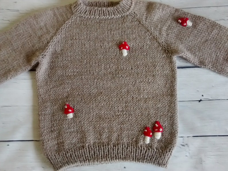 Children sweater, unisex sweater, alpaca sweater dark beige, with embroidery, handmade knitted sweater, boy, girl.1-1,5 years image 8