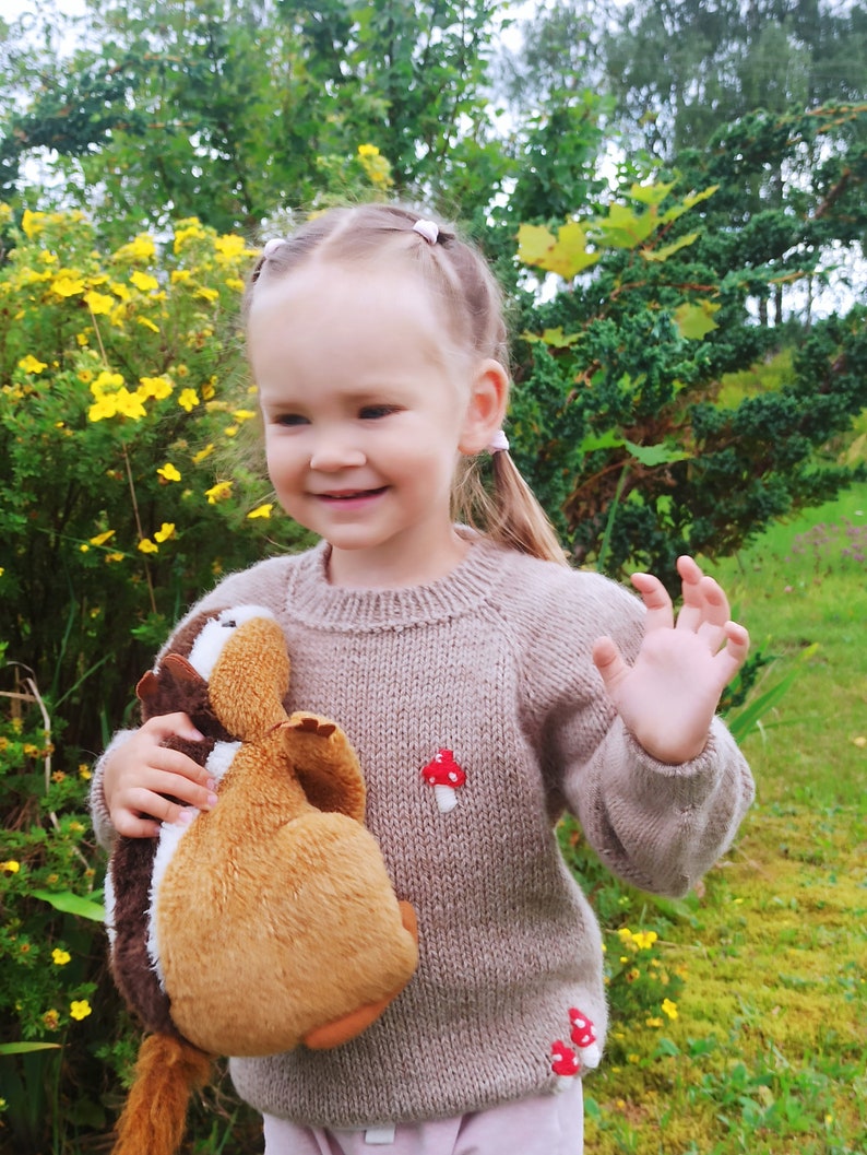 Children sweater, unisex sweater, alpaca sweater dark beige, with embroidery, handmade knitted sweater, boy, girl.1-1,5 years image 2