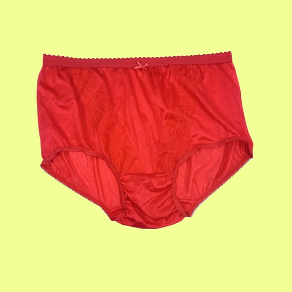 Women's Clothing LACY VINTAGE STYLE SILKY NYLON GUSSET BRIEFS PANTIES PINUP KNICKERS FAIR BLUE