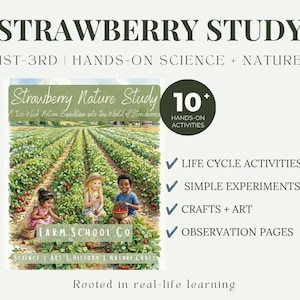 May include: Educational curriculum titled Strawberry Study for 1st-3rd grade featuring a watercolor illustration of three children picking strawberries in a field. Includes text for 10+ hands-on activities, life cycle activities, simple experiments, crafts, art, and observation pages.