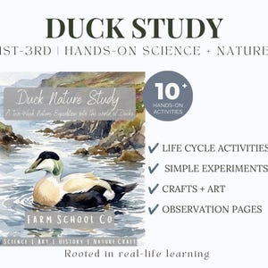 Étude sur la nature des canards | Unité d'enseignement à domicile | Feuille de travail sur le cycle de vie du canard | Charlotte Mason | 4-8 ans | Aquarelle | Histoire de l'Islande | Sciences