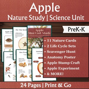 May include: An Apple Nature Study Science Unit educational activity pack for PreK-K featuring 24 pages of printables. Includes 11 nature cards, 2 life cycle sets, a scavenger hunt, an anatomy poster, an apple stamp craft, and an apple experiment.