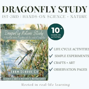 Puede incluir: Una guía educativa Dragonfly Study para 1º a 3º grado con una ilustración en acuarela de una libélula cerca del agua. El texto incluye 10+ actividades prácticas, ciclo de vida, experimentos sencillos, manualidades, arte y páginas de observación.