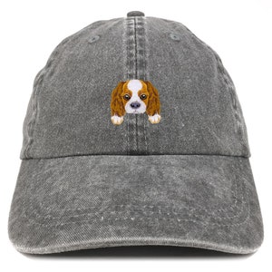 Stitchfy Cavalier King Patch Pigment Dyed Washed Baseball Cap (SF-AP0007-MGC-7601)