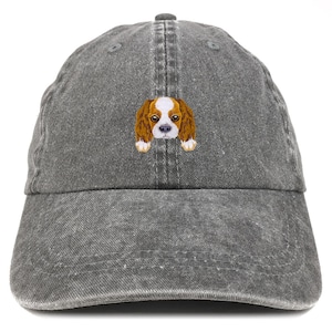 Stitchfy Cavalier King Patch Pigment Dyed Washed Baseball Cap (SF-AP0007-MGC-7601)