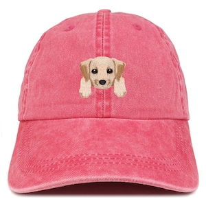 Peut inclure: Une casquette de baseball rouge délavée avec une image brodée d'un chiot golden retriever.