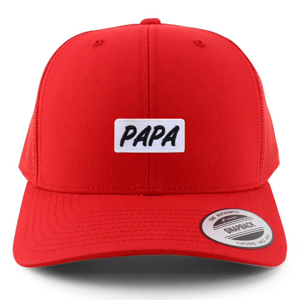 Stitchfy Papa Patch 6 Panel Retro Baseball Mesh Cap (SF